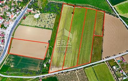 100.000 M2 RESMİ YOL CEPHELİ NİTELİKLİ ARAZİLER