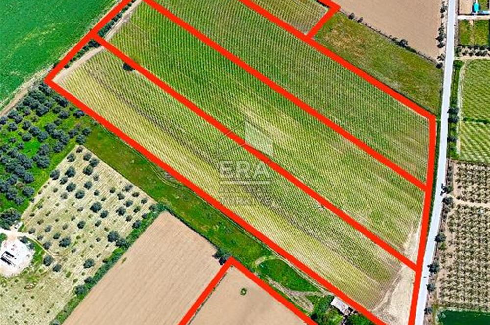 100.000 M2 RESMİ YOL CEPHELİ NİTELİKLİ ARAZİLER