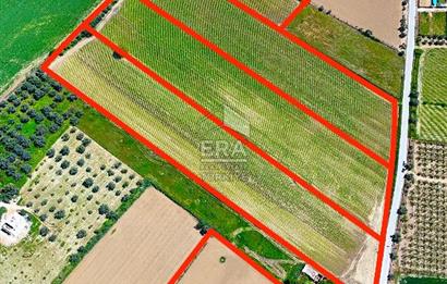 100.000 M2 RESMİ YOL CEPHELİ NİTELİKLİ ARAZİLER