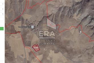 ANKARA BALA'DA 39 DÖNÜM TEK TAPU TARLA - 2 - 15014