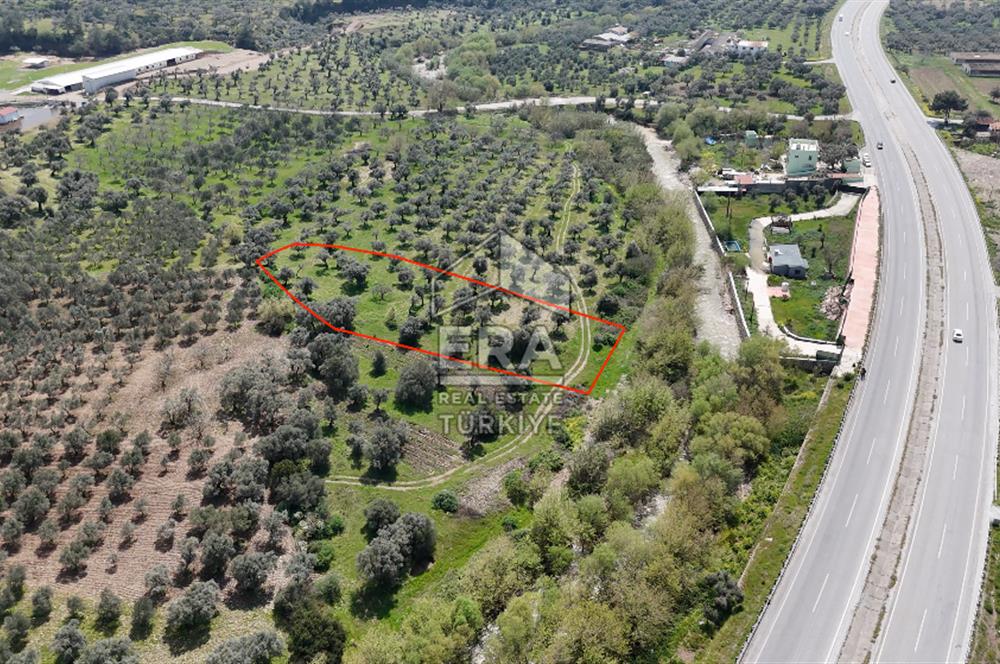 16.150 M2 TEK TAPU - TİCARİ İMARA 600 METRE - RESMİ YOL VAR