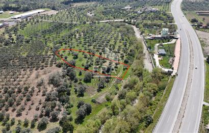 16.150 M2 TEK TAPU - TİCARİ İMARA 600 METRE - RESMİ YOL VAR