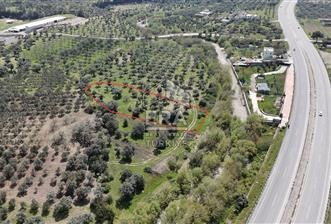 16.150 M2 TEK TAPU - TİCARİ İMARA 600 METRE - RESMİ YOL VAR - 1 - 15038