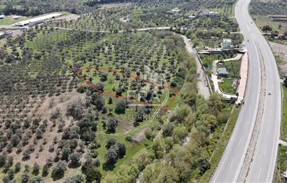 16.150 M2 TEK TAPU - TİCARİ İMARA 600 METRE - RESMİ YOL VAR