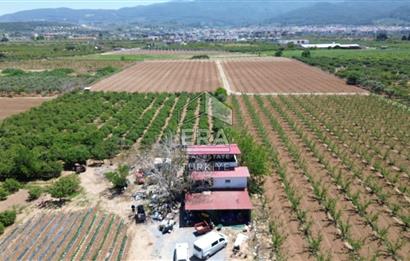 KUŞADASI DAVUTLAR SATILIK BAHÇE