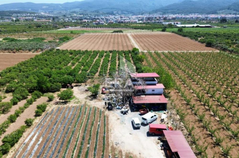 KUŞADASI DAVUTLAR SATILIK BAHÇE