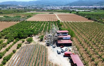 KUŞADASI DAVUTLAR SATILIK BAHÇE