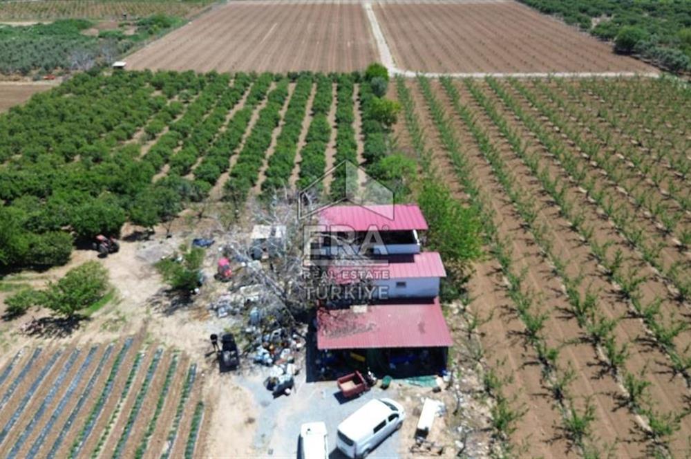 KUŞADASI DAVUTLAR SATILIK BAHÇE