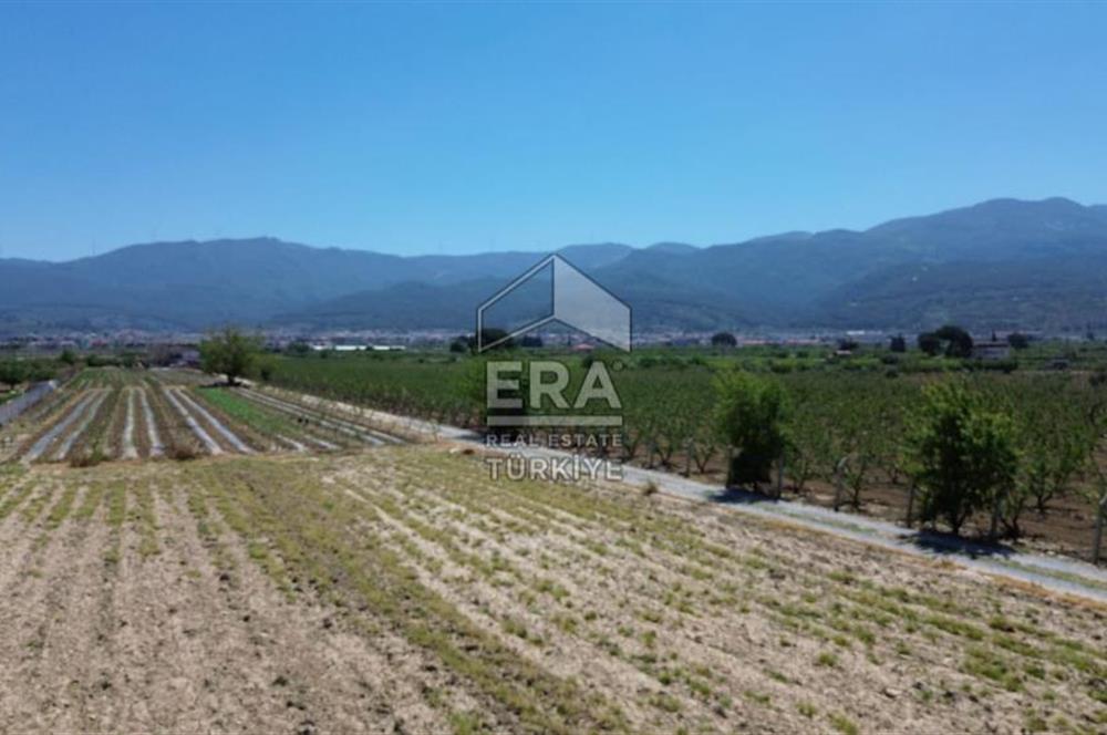 KUŞADASI DAVUTLAR SATILIK BAHÇE