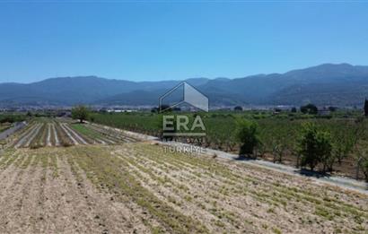 KUŞADASI DAVUTLAR SATILIK BAHÇE