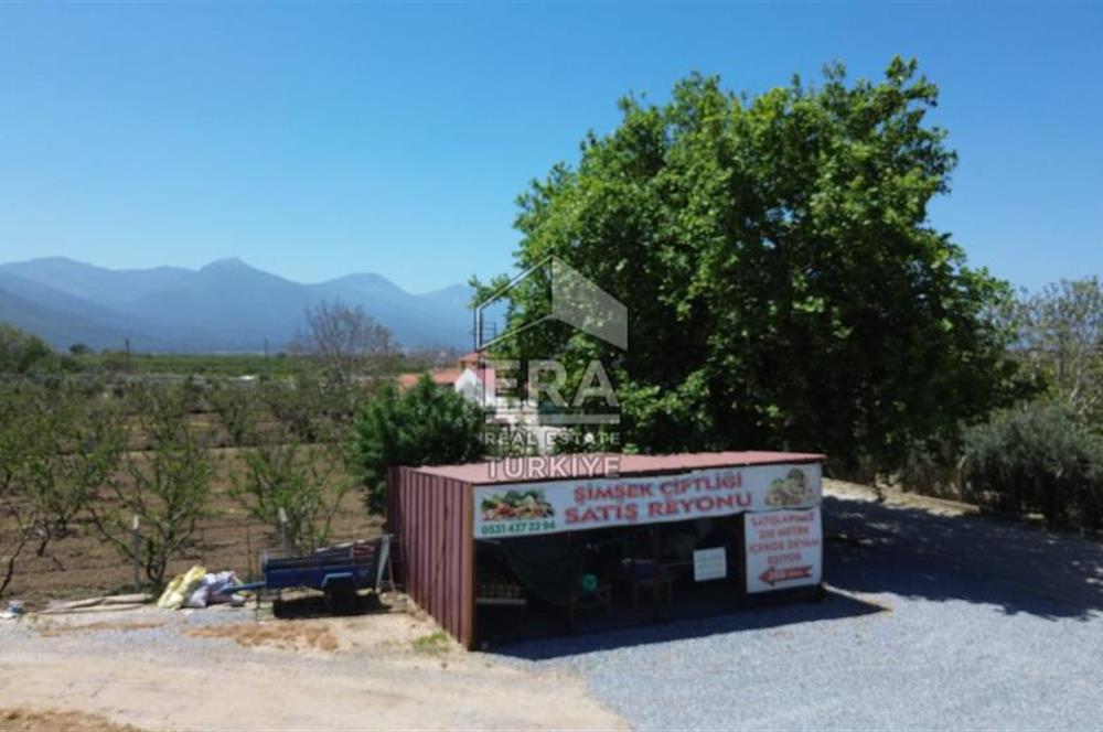 KUŞADASI DAVUTLAR SATILIK BAHÇE