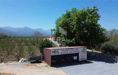 KUŞADASI DAVUTLAR SATILIK BAHÇE