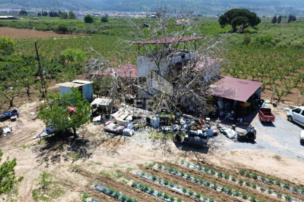 KUŞADASI DAVUTLAR SATILIK BAHÇE
