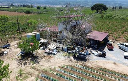 KUŞADASI DAVUTLAR SATILIK BAHÇE