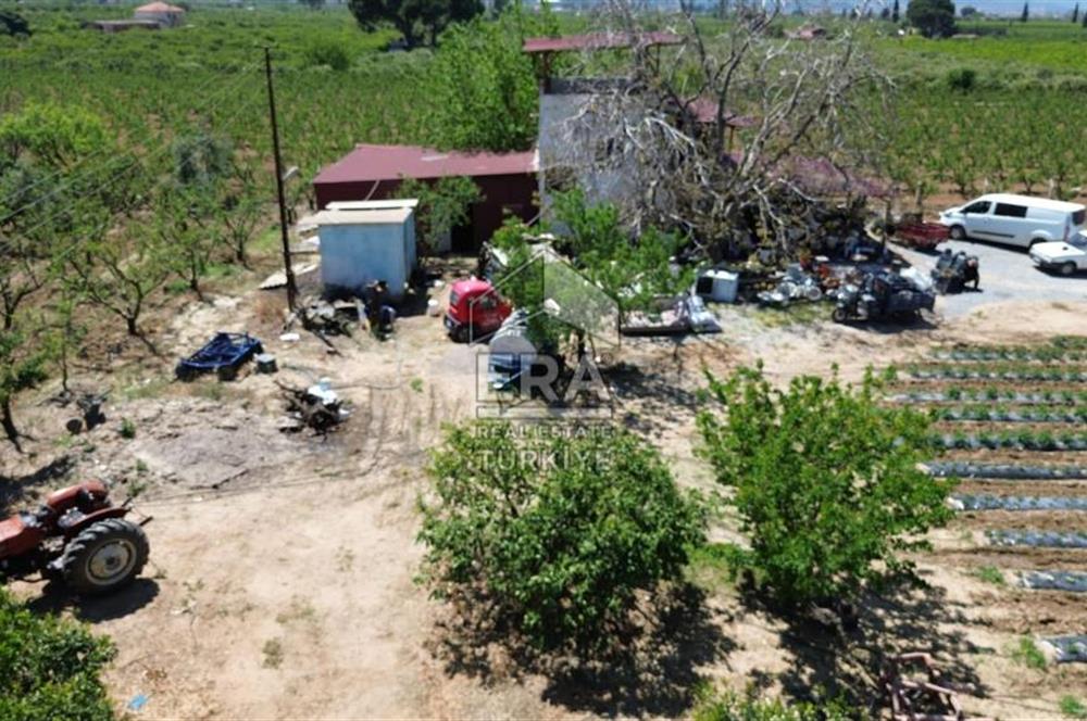 KUŞADASI DAVUTLAR SATILIK BAHÇE