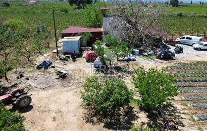 KUŞADASI DAVUTLAR SATILIK BAHÇE