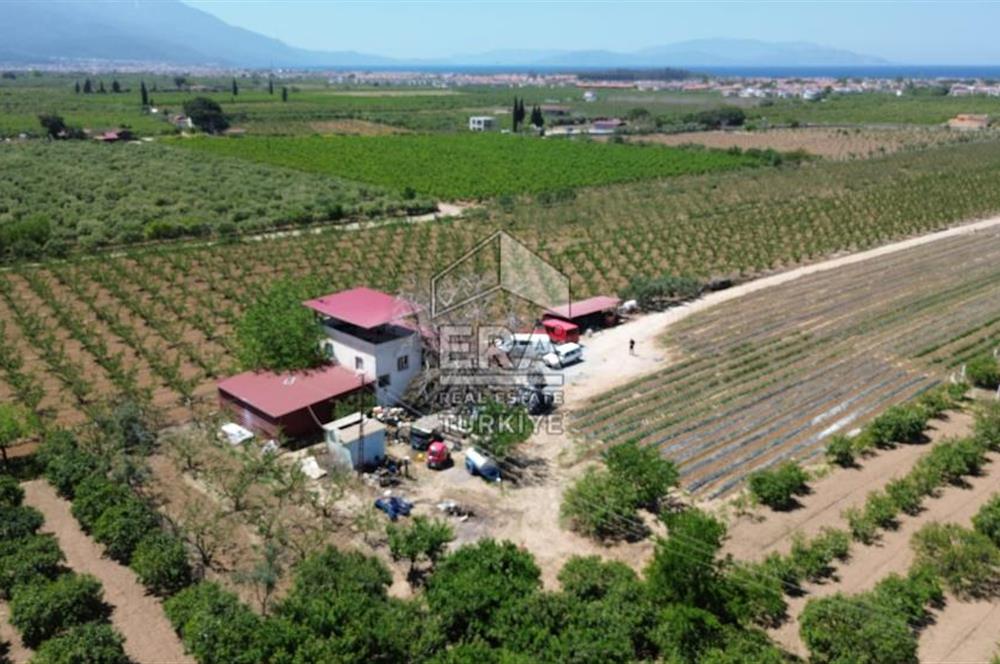 KUŞADASI DAVUTLAR SATILIK BAHÇE