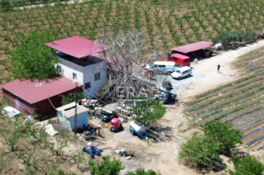 KUŞADASI DAVUTLAR SATILIK BAHÇE