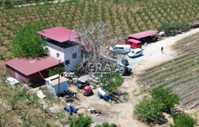 KUŞADASI DAVUTLAR SATILIK BAHÇE