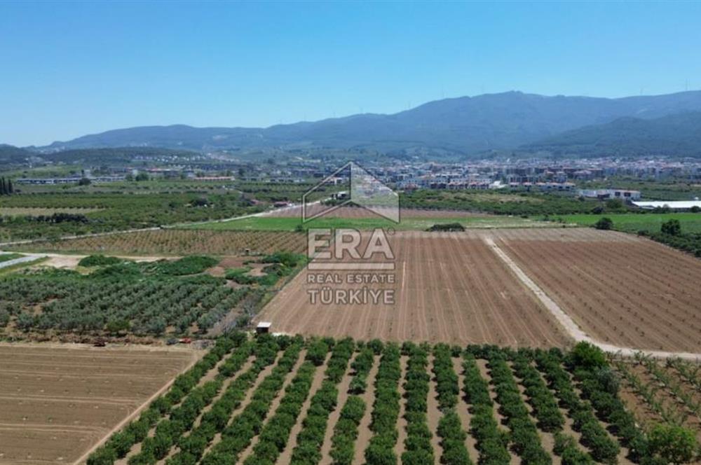 KUŞADASI DAVUTLAR SATILIK BAHÇE