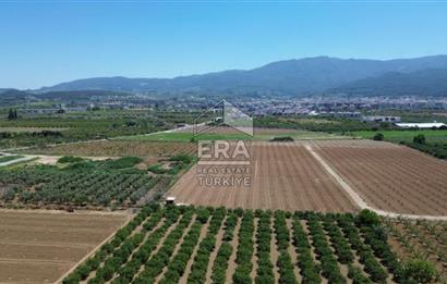 KUŞADASI DAVUTLAR SATILIK BAHÇE
