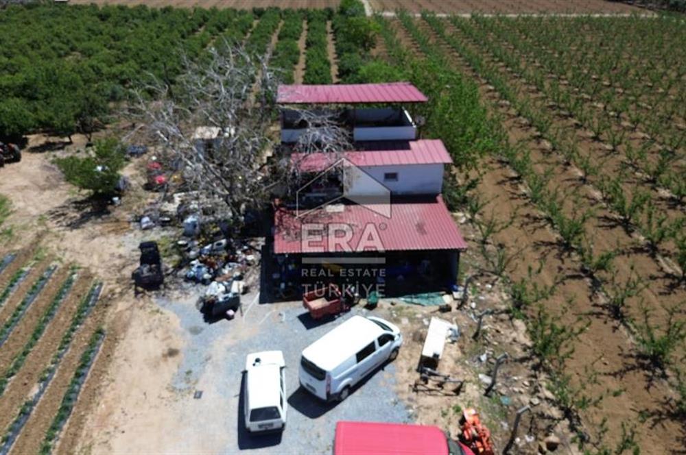 KUŞADASI DAVUTLAR SATILIK BAHÇE