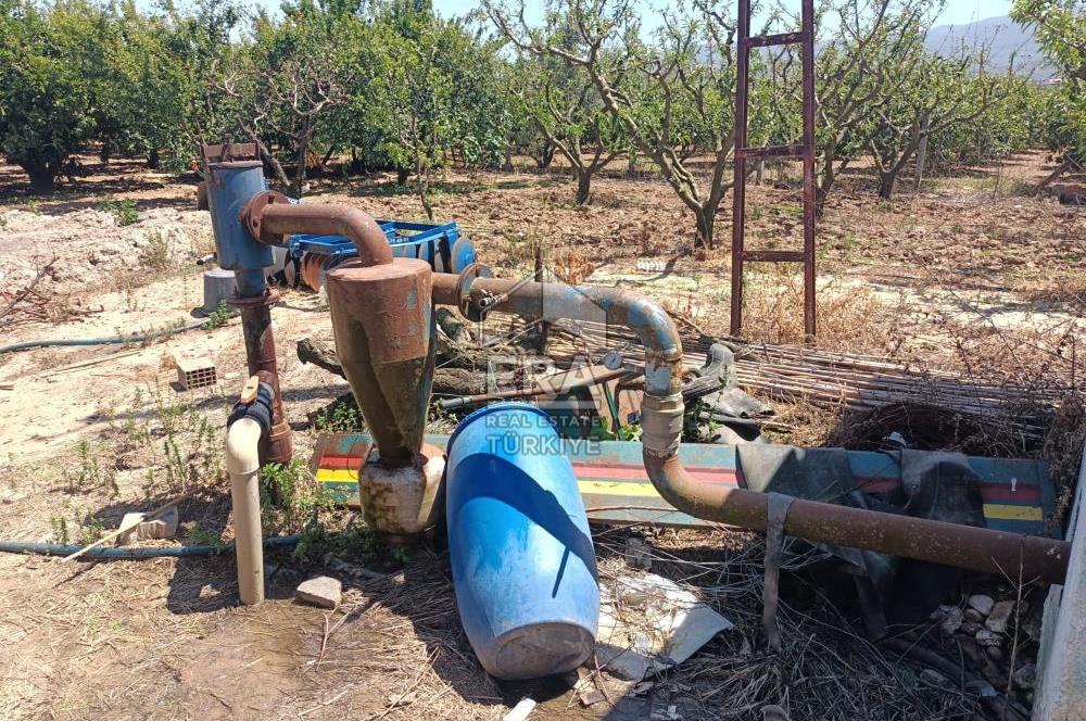 KUŞADASI DAVUTLAR SATILIK BAHÇE