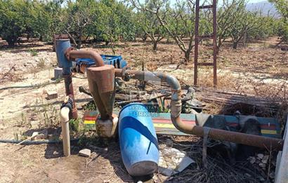 KUŞADASI DAVUTLAR SATILIK BAHÇE