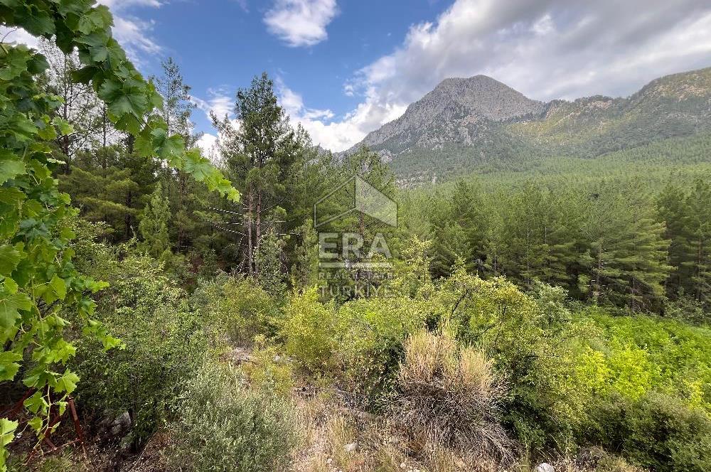 ANTALYA İBRADI ÜZÜMDERE MAHALLESİ SATILIK TEK TAPU ARAZİ