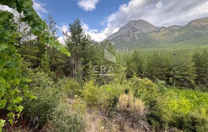 ANTALYA İBRADI ÜZÜMDERE MAHALLESİ SATILIK TEK TAPU ARAZİ