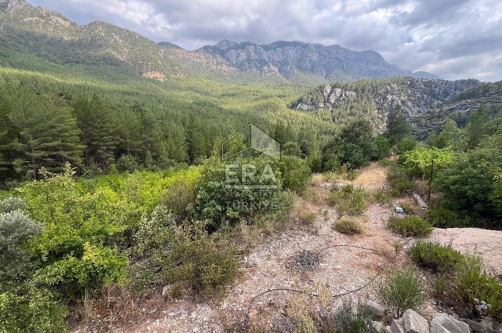 ANTALYA İBRADI ÜZÜMDERE MAHALLESİ SATILIK TEK TAPU ARAZİ