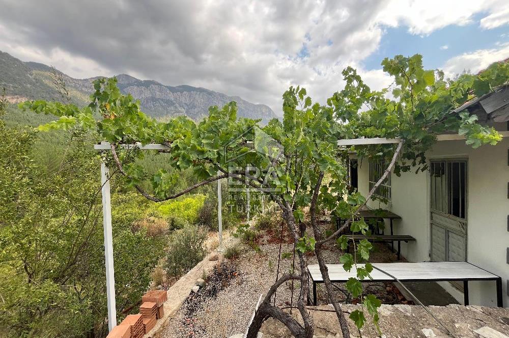 ANTALYA İBRADI ÜZÜMDERE MAHALLESİ SATILIK TEK TAPU ARAZİ