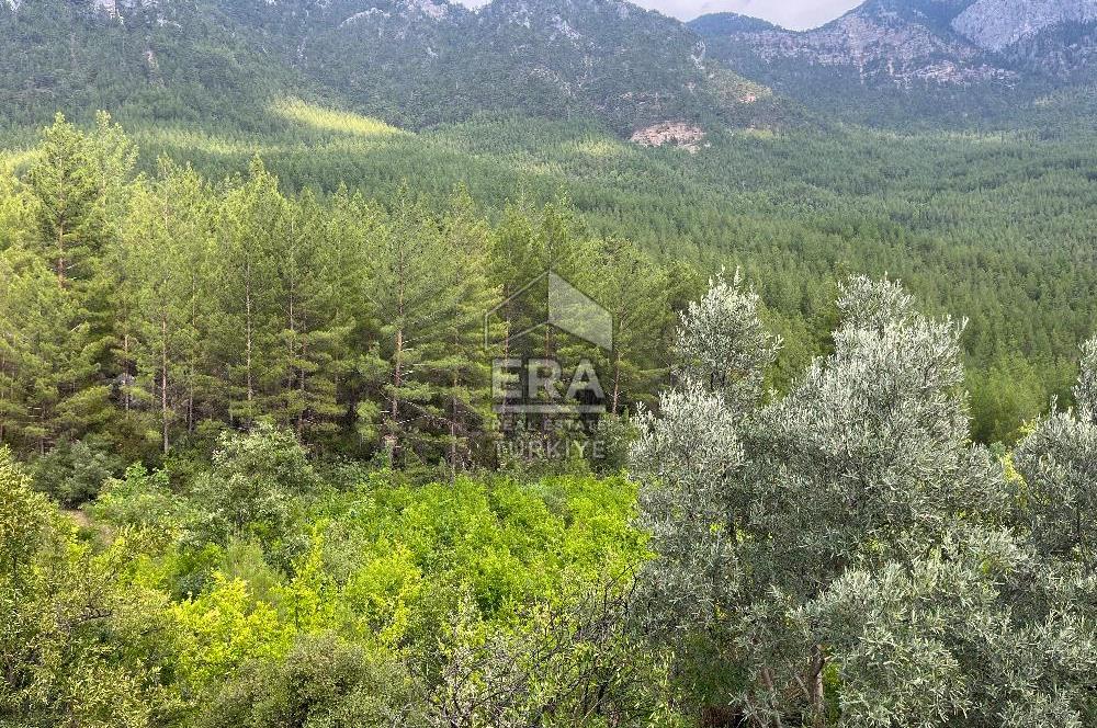 ANTALYA İBRADI ÜZÜMDERE MAHALLESİ SATILIK TEK TAPU ARAZİ