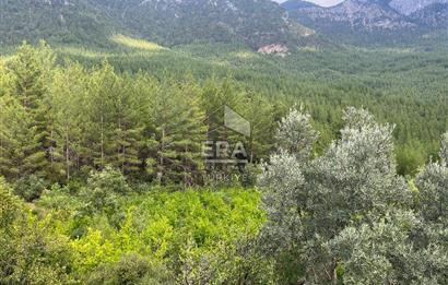 ANTALYA İBRADI ÜZÜMDERE MAHALLESİ SATILIK TEK TAPU ARAZİ