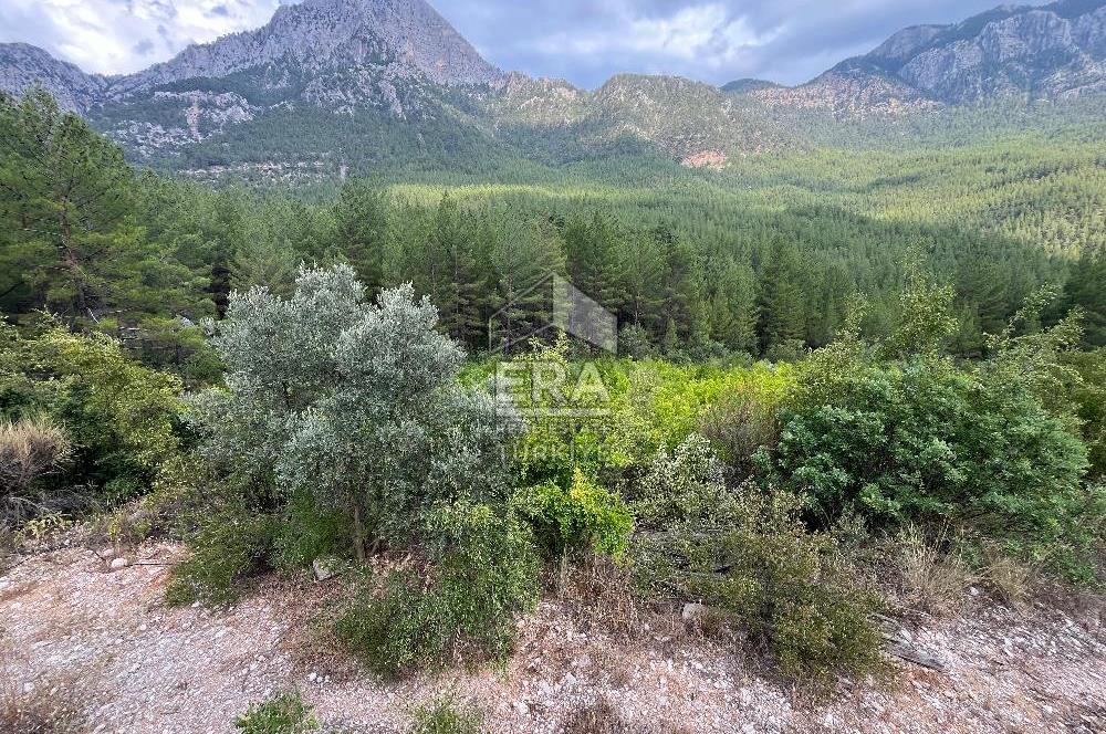 ANTALYA İBRADI ÜZÜMDERE MAHALLESİ SATILIK TEK TAPU ARAZİ