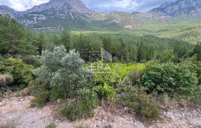 ANTALYA İBRADI ÜZÜMDERE MAHALLESİ SATILIK TEK TAPU ARAZİ