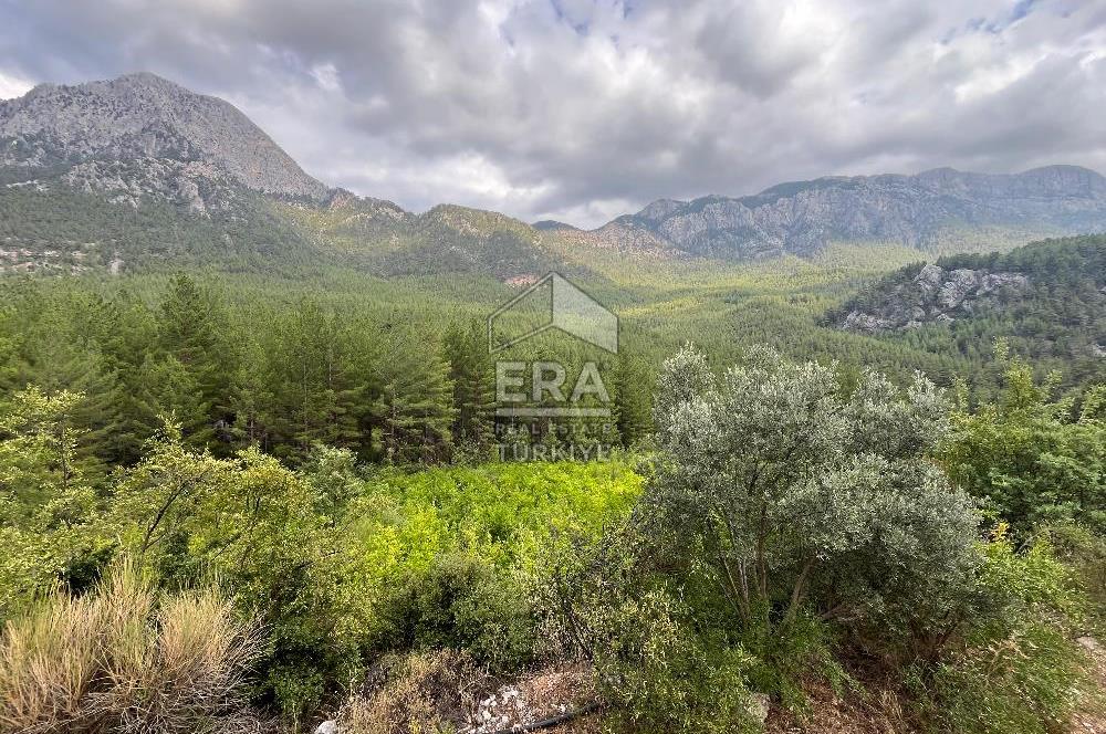 ANTALYA İBRADI ÜZÜMDERE MAHALLESİ SATILIK TEK TAPU ARAZİ