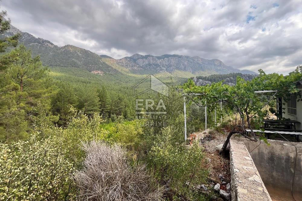 ANTALYA İBRADI ÜZÜMDERE MAHALLESİ SATILIK TEK TAPU ARAZİ