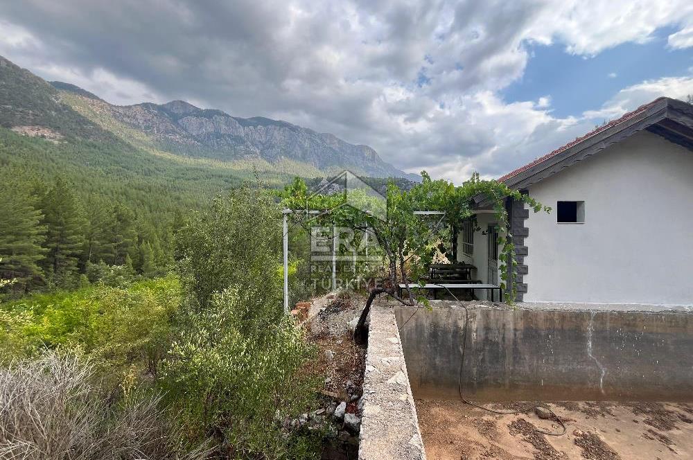 ANTALYA İBRADI ÜZÜMDERE MAHALLESİ SATILIK TEK TAPU ARAZİ