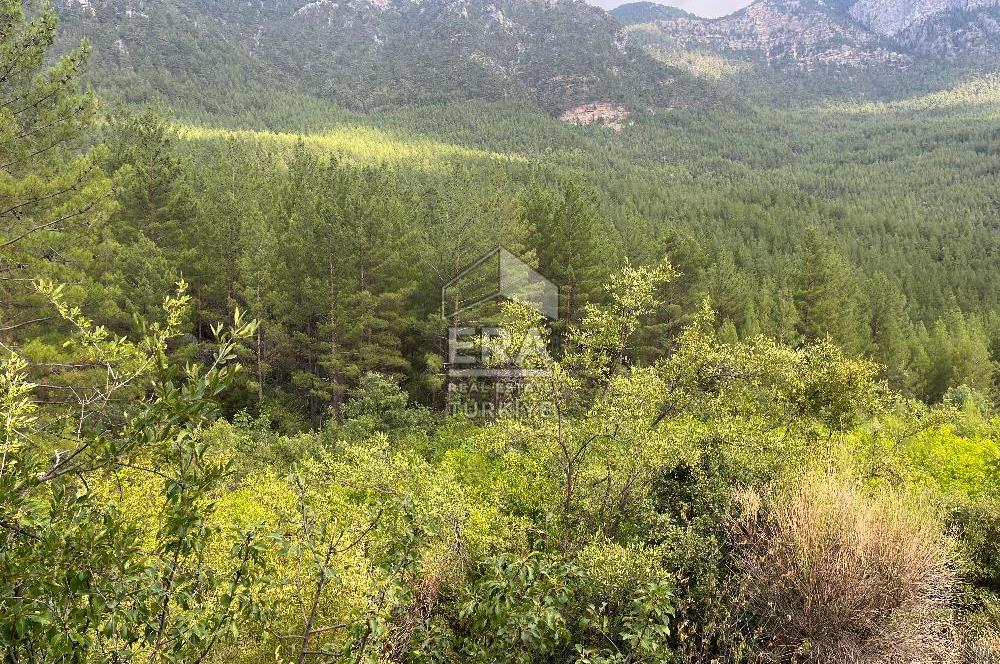 ANTALYA İBRADI ÜZÜMDERE MAHALLESİ SATILIK TEK TAPU ARAZİ