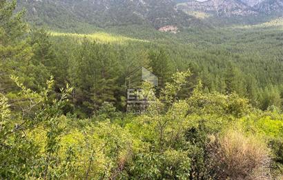 ANTALYA İBRADI ÜZÜMDERE MAHALLESİ SATILIK TEK TAPU ARAZİ