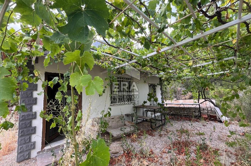 ANTALYA İBRADI ÜZÜMDERE MAHALLESİ SATILIK TEK TAPU ARAZİ