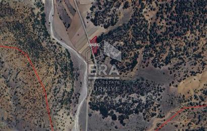BURDUR YEŞİLOVA İĞDIR KÖYÜNDE SATILIK TEK TAPU 1198 m2 TARLA