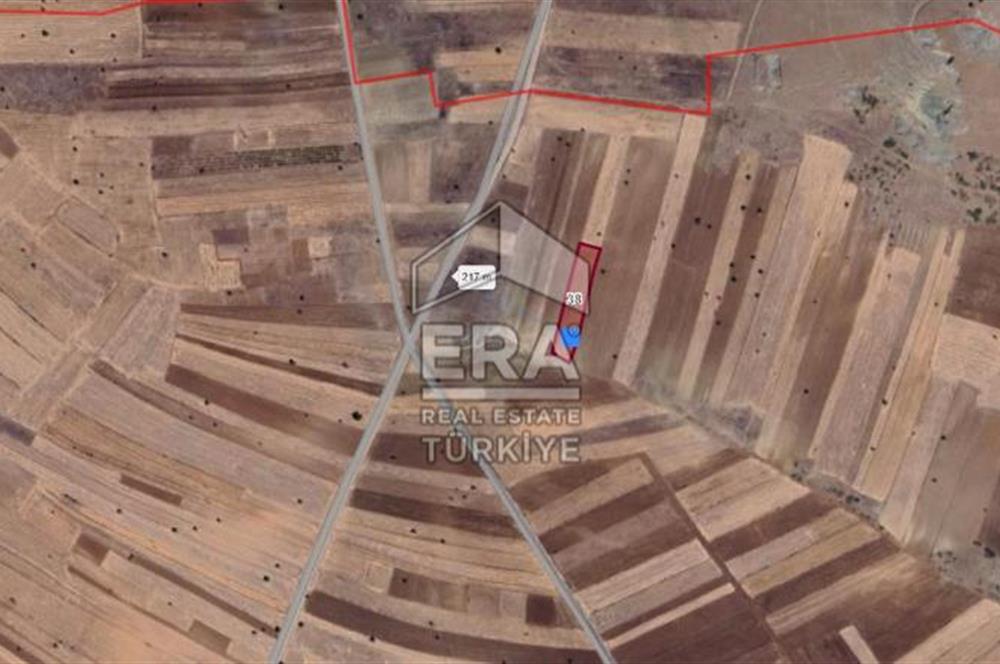 BURDUR YEŞİLOVA KAVAK KÖYÜNDE SATILIK TEK TAPU 6500 m2 TARLA