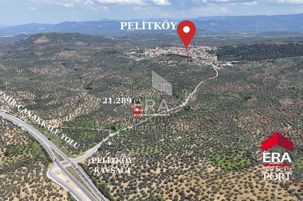 ERA PORT GÜVENCESİYLE YOLA CEPHELİ PELİTKÖY DE 21.289m²ZEYTİNLİK