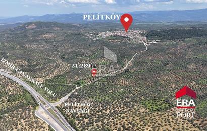 ERA PORT GÜVENCESİYLE YOLA CEPHELİ PELİTKÖY DE 21.289m²ZEYTİNLİK