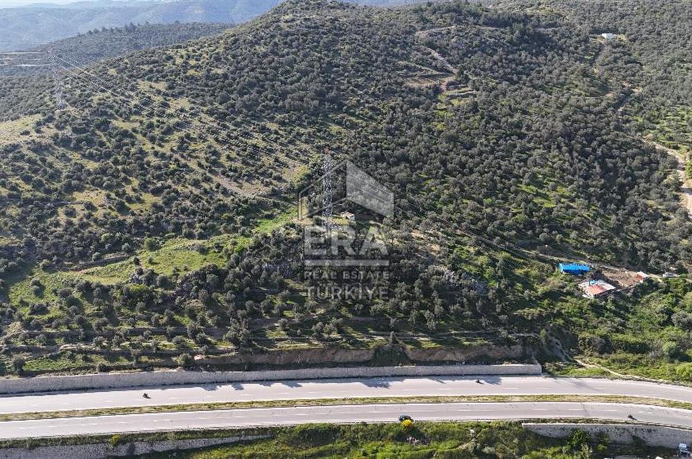 DENİZ MANZARALI EDREMİT KALKIM YOLU TOKİ YANI SATILIK ARSA