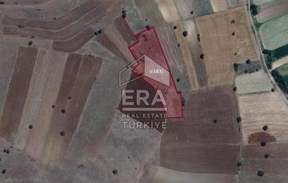 BURDUR YEŞİLOVA ARMUT KÖYÜNDE SATILIK TEK TAPU 5027 m2 TARLA 