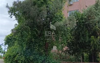 ERA EXTRA KADİR KANDEMİR Batman Tılmerç mahallesi Kiralık 2+1 ara kat tertemiz daire
