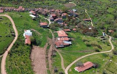 Bilecik Söğüt Tuzaklı Köyü'nde Yatırımlık & Yapılaşmaya Uygun Fırsat Arazi